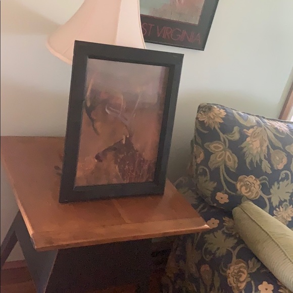 3D changing Buck Picture in frame - Picture 2 of 5
